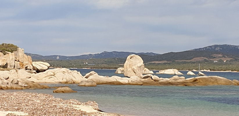 Crique de Chevanu: Corse du Sud