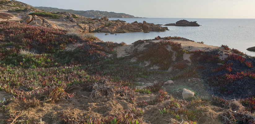 Les Bruzzi: Golfe de Figari