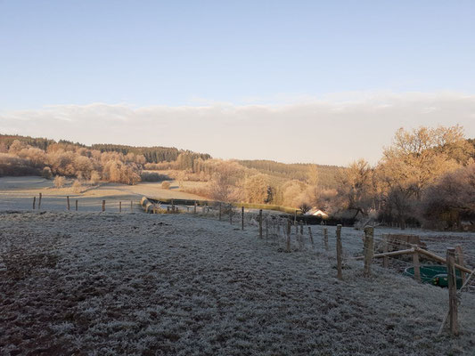 Altitude 445 - Matin d'hiver
