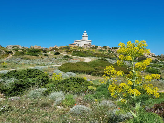 Capo Testa