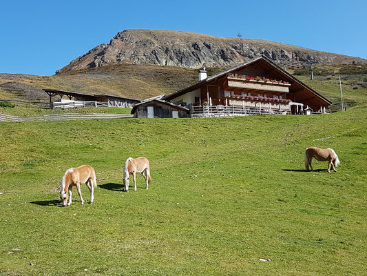 Meraner Hütte