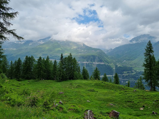 Gotthardmassiv