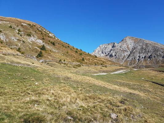 Auf der Hochebene Meran 2000