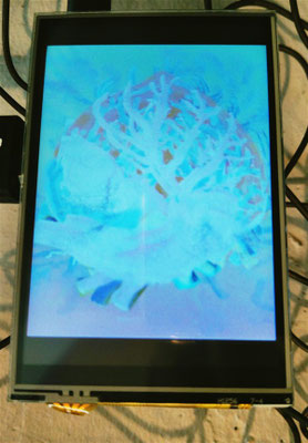 5/5（月）作品タイトル「視床から下垂体」の向かって右の四角窓の映像