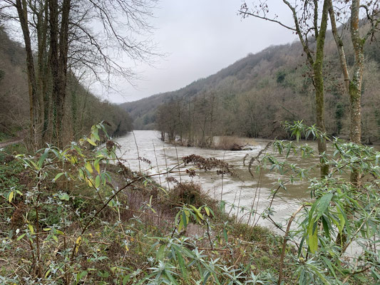 Symonds Yat, Christmas Day