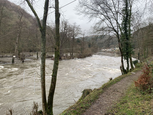 Symonds Yat, Christmas Day