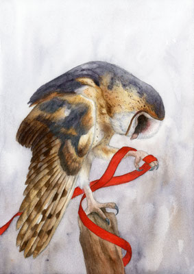 Barn owl - watercolour