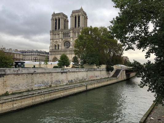 Cathédrale Notre dame de Paris from the Seine river