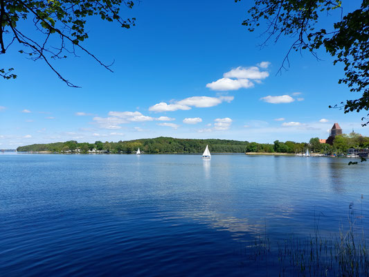 Segelboote  auf dem großen Ratzeburgersee