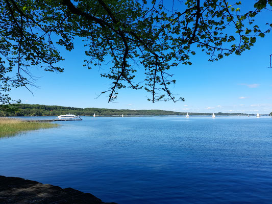 Sonnenschein am Ratzeburger See