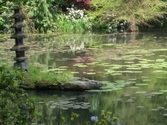 Poesie der Natur 19