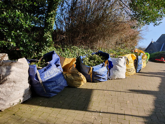 Dumpy bags waiting to be collected