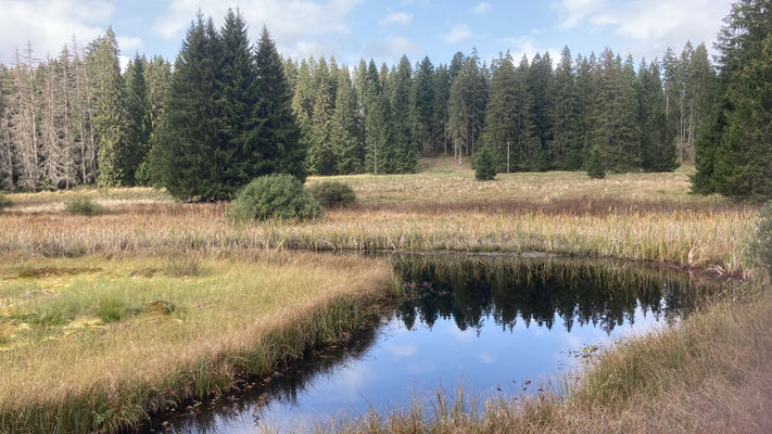 Freiberge Jura