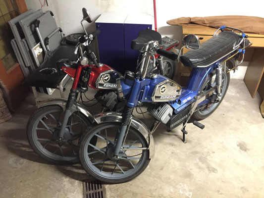 Mopeds wieder zurück im Körbchen