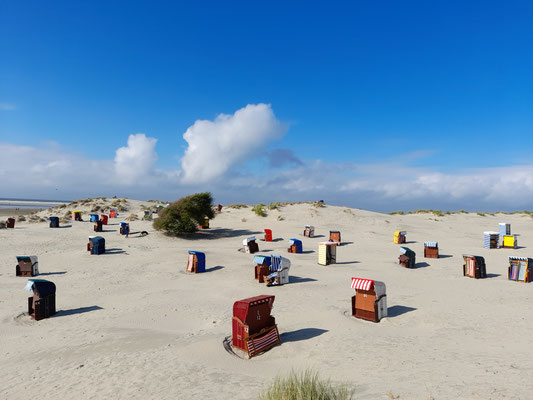 Strandkörbe und Strandzelte am Meer in den Dünen