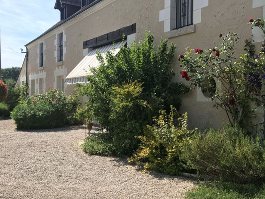 Cheverny chambres d'hôte, la Sologne, La Levraudière
