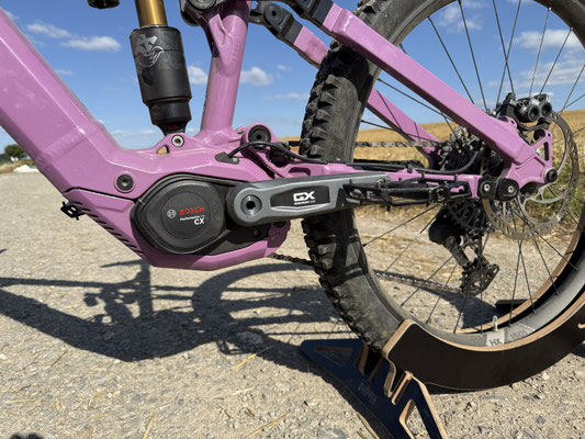 Antrieb: Bosch Performance Line CX Gen5 mit Power-Upgrade (bis 100 Nm, 750 W, 400 % Unterstützung) ©Velototal