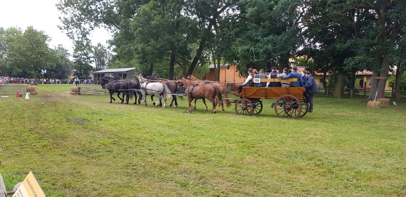Tag des Pferdes
