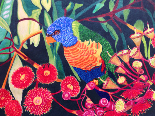 Rainbow Parrot: Prismacolor Premier on Drawing Paper A3