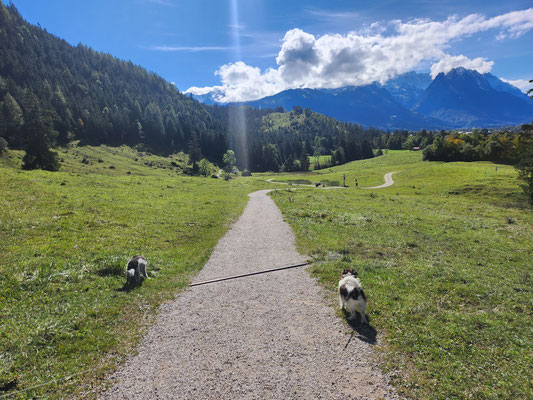 29.09.2024: Lenny (13J) und Molly (7J) haben 8,49km zurückgelegt. Wir sind gerade im Urlaub und sind in Farchant über den Philosophenweg zur Jugendherberger an der Loisach LAN und wieder zurück zur Esterbergstrasse.
