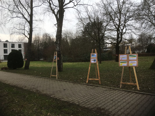 Foto: F. Diebrok