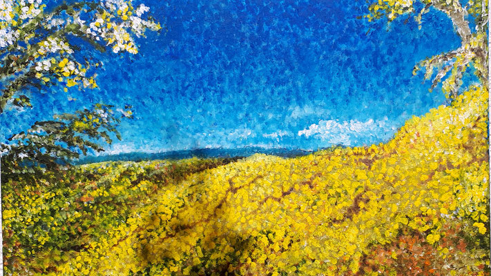 Mimosen (60x80) Acryl