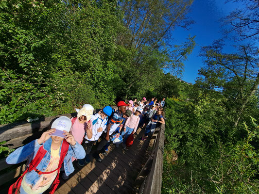 Kinder laufen auf einem Feldweg einen Berg hinab.