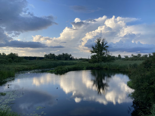 Lower Oder Valley,  © Christiane Funk
