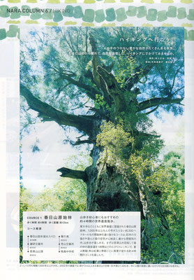 「奈良おでかけ地図」京阪神エルマガジン社：2013