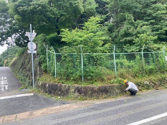 北側交差点の草刈り