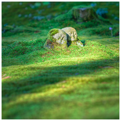 Le temple | (c) Jordy Meow – 2016 – Sanzen-in, Ōhara – Sous licence Unsplash