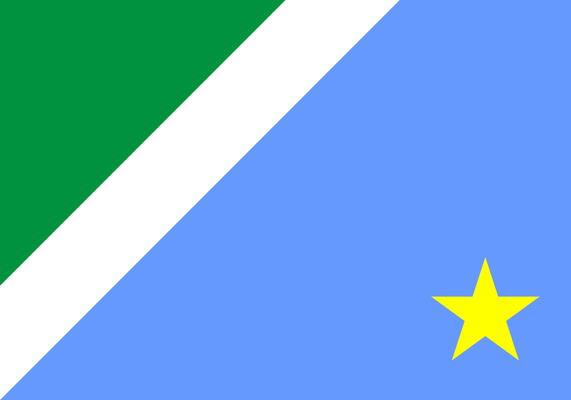 BANDERINES DEL FUTBOL ESTADUAL DE MATO GROSSO DO SUL