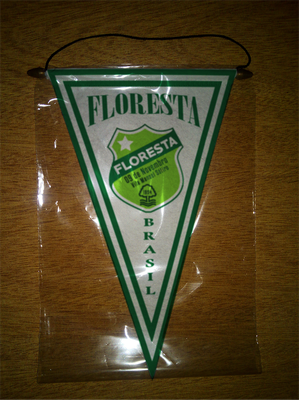BANDERIN - PENNANT - FANION - WIMPEL - GAGLIARDETTO - FLAMULA