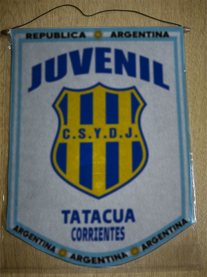 BANDERIN JUVENIL DE TATACUA