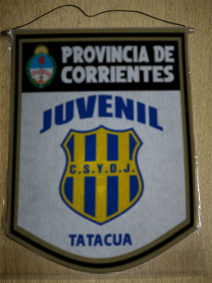 BANDERIN 40CM DORADO JUVENIL DE TATACUA