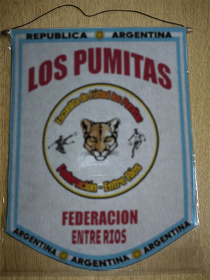 BANDERIN LOS PUMITAS FEDERACION ENTRE RIOS