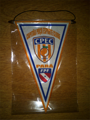 BANDERIN - PENNANT - FANION - WIMPEL - GAGLIARDETTO - FLAMULA