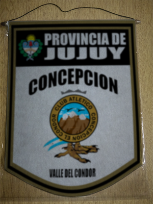 BANDERIN 40CM DORADO CLUB CONCEPCION EL CONDOR JUJUY