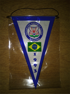 BANDERIN - PENNANT - FANION - WIMPEL - GAGLIARDETTO - FLAMULA