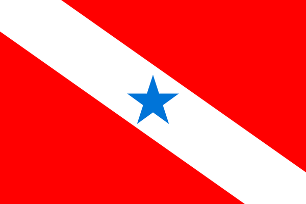 BANDERIN - PENNANT - FANION - WIMPEL - GAGLIARDETTO - FLAMULA