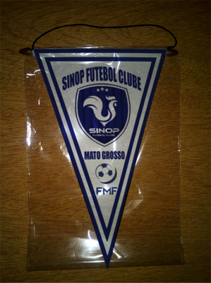 BANDERIN - PENNANT - FANION - WIMPEL - GAGLIARDETTO - FLAMULA