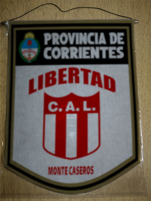 BANDERIN 40CM DORADO LIBERTAD MONTE CASEROS