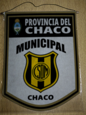 BANDERIN 40CM DORADO MUNICIPAL ROCA CHACO