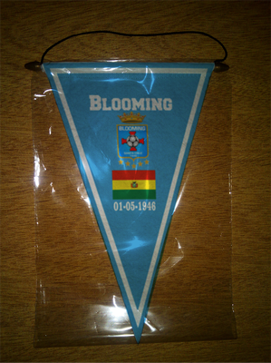 BANDERIN - PENNANT - FANION - WIMPEL - GAGLIARDETTO - FLAMULA