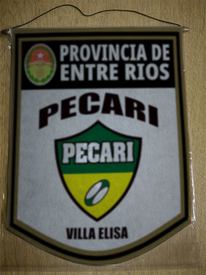 BANDERIN PECARI VILLA ELISA ENTRE RIOS