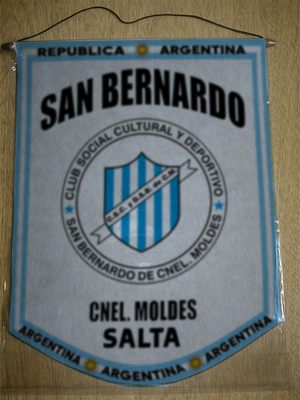 BANDERIN SAN BERNARDO CNEL MOLDES SALTA