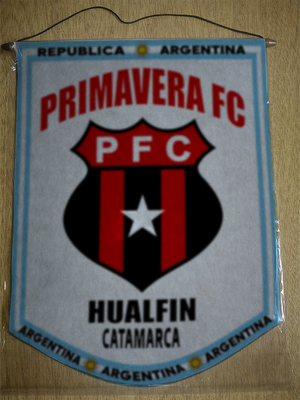BANDERIN PRIMAVERA FC HUALFIN