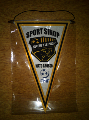 BANDERIN - PENNANT - FANION - WIMPEL - GAGLIARDETTO - FLAMULA
