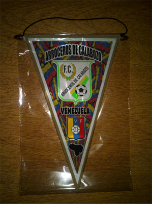BANDERIN - PENNANT - FANION - WIMPEL - GAGLIARDETTO - FLAMULA