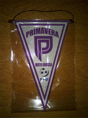 BANDERIN - PENNANT - FANION - WIMPEL - GAGLIARDETTO - FLAMULA